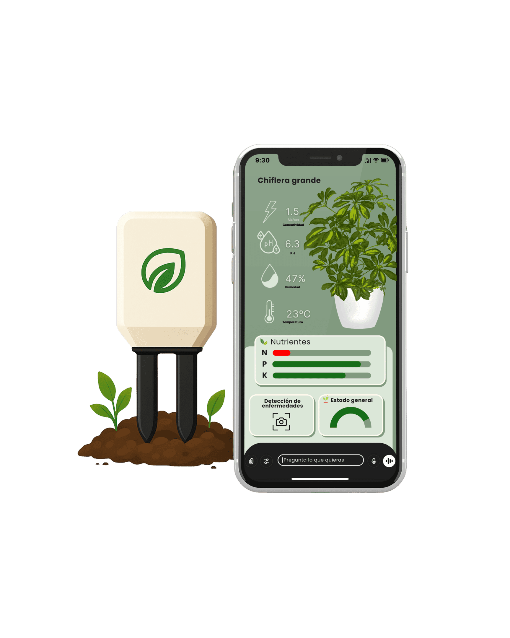 Disfruta de plantas más sanas y felices